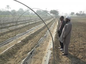 UHS Tarnal Project