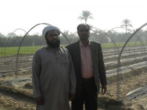 UHS Tarnal Project