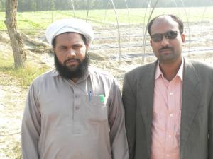 UHS Tarnal Project