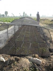 UHS Tarnal Project