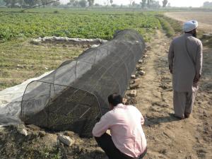 UHS Tarnal Project